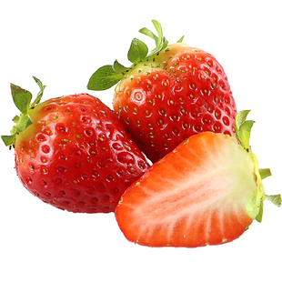 上海本地章姬奶油草莓新鲜水果现摘当季同城孕妇青浦白鹤牛奶草莓