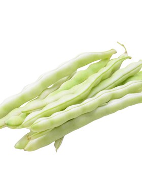 无筋白绿荚芸豆四季豆角种子宁兴