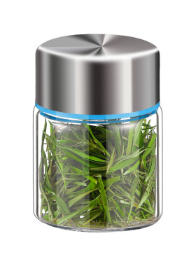 茶叶罐便携式迷你玻璃瓶