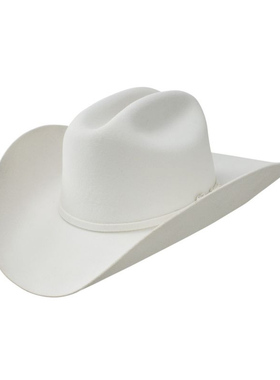 stetson西部牛仔骑马帽羊毛毡帽