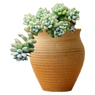 奇德素烧多肉花盆大号粗陶透气复古老桩土陶瓦泥盆创意植物陶瓷盆