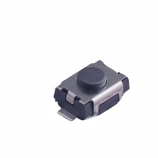 原装TS-1088-AR02016 SMD3x4mm 单刀单掷2脚立贴轻触开关（10只）