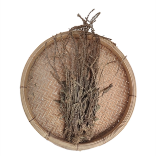 新鲜车前草纯天然农家溜滑菜车前草茶整颗带根车前子大车轱辘龟料