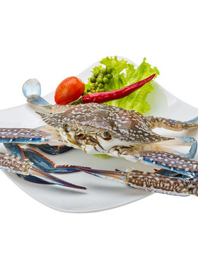 当日海捕出海急冻肉质鲜美