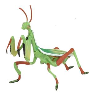 儿童玩具实心仿真昆虫动物模型螳螂刀螂蚂蚱早教认知教具摆件手办