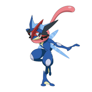 小智版甲贺忍蛙羁绊变身特性 NSwitch宝可梦朱紫智蛙精灵交换HOME