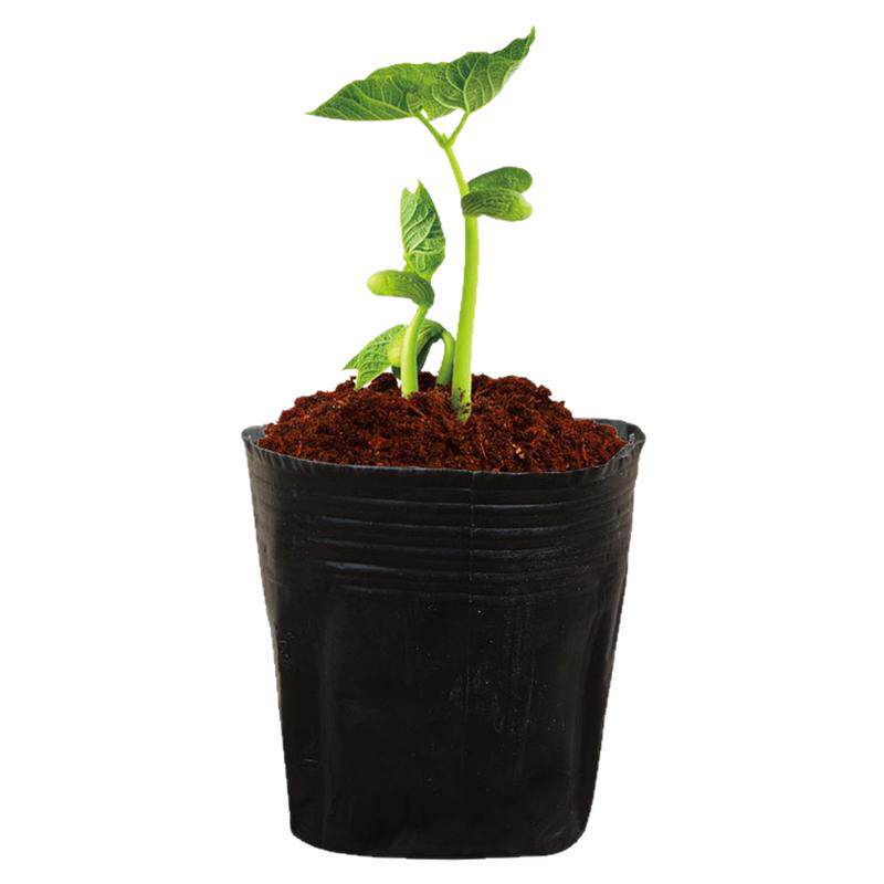 加厚塑料一次性花盆营养杯
