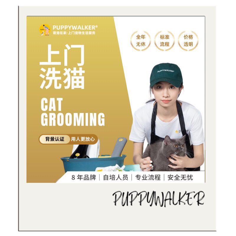 上门洗猫|北京上海|萌宠在家|宠物上门洗澡洗护抑菌止痒深层清洁