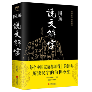 图解说文解字正版许慎原著有关中国文字解析的书籍中华书局注解十二讲画说汉字王国字典咬文嚼字细说汉字的故事画说汉字工具书说解