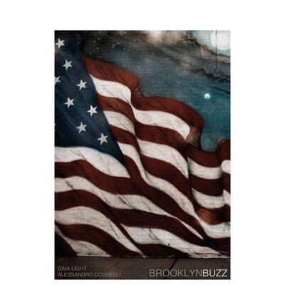 【预售】布鲁克林探索英文摄影综合作品进口原版外版书平装14岁以上Brooklyn Buzz Alessandro Cosmelli Damiani