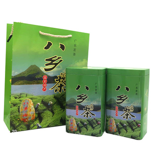 梅州丰顺八乡山绿茶2024高山云雾新春茶叶五华日照炒青浓香茶500g