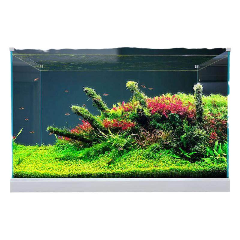 金晶超白鱼缸大中免换水小型鱼缸水草乌龟造景缸裸缸超白鱼缸