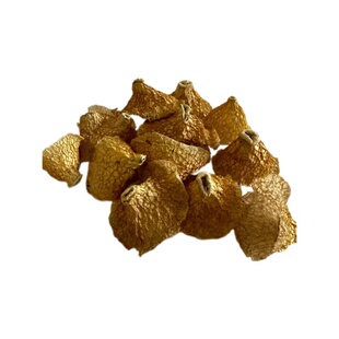 竹毛肚蜀南竹海无硫优质长裙竹荪毛肚竹荪盖四川宜宾特产50g-250g