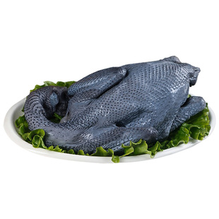 新鲜乌鸡鲜活宰杀乌骨鸡土鸡散养五黑老母鸡滋补月子鸡白凤爬山鸡