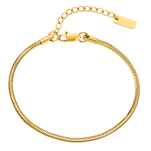 GRGR 细款24K金色蛇骨手链男嘻哈欧美流行钛钢金方珠手链女高级感