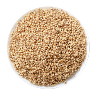 谷芽500g中药材炒谷芽谷牙生谷芽炒熟的泡水另售炒麦芽山楂鸡内金