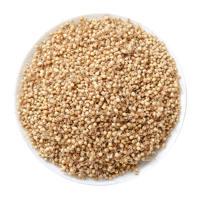 谷芽正品新货500克无硫中药材