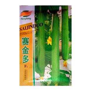 丝瓜种籽孑赛金多杂交丝瓜种子50g约500粒蔬菜抗病早熟长香丝瓜籽