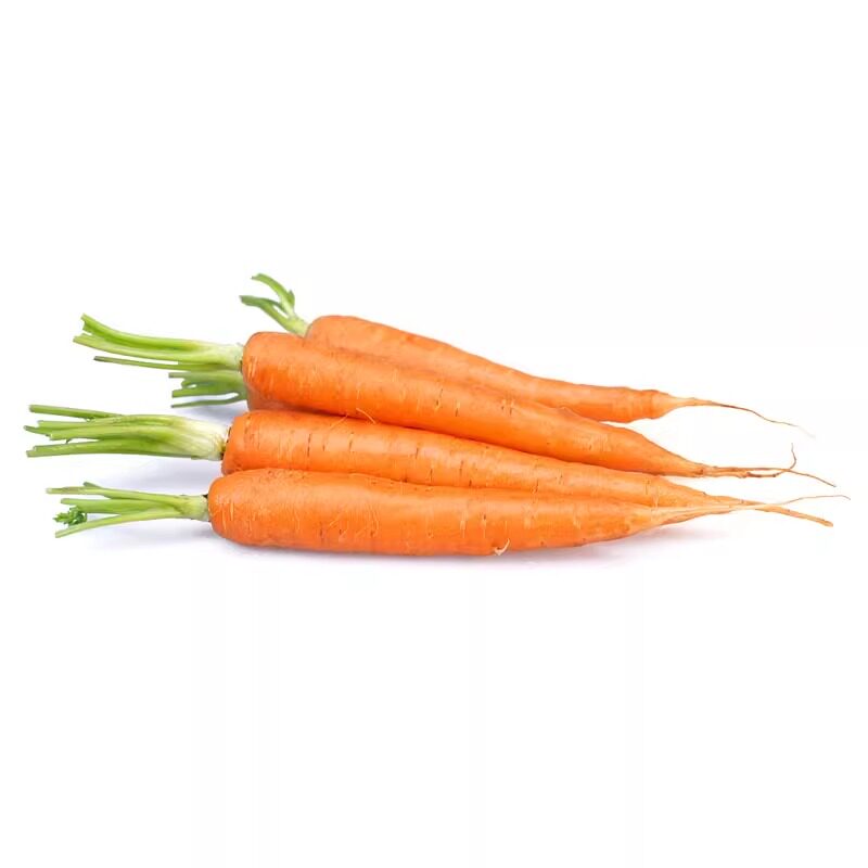 去叶手指萝卜新鲜水果健身生吃沙拉蔬菜食材脆甜迷你萝卜500g