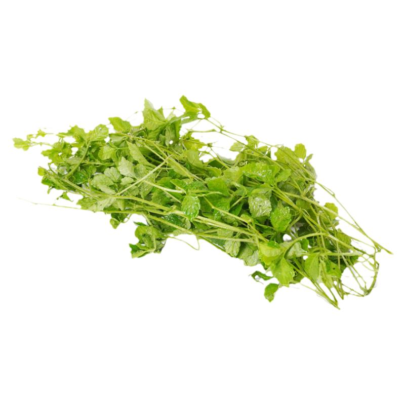 五叶神新鲜七叶胆煲汤500g