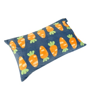 胡萝卜 插画师原创卡通田园蔬菜奶油绒枕套单只枕头罩冬季保暖绒