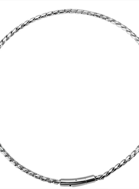 新款扭鳞龙骨不掉色不锈钢项链男