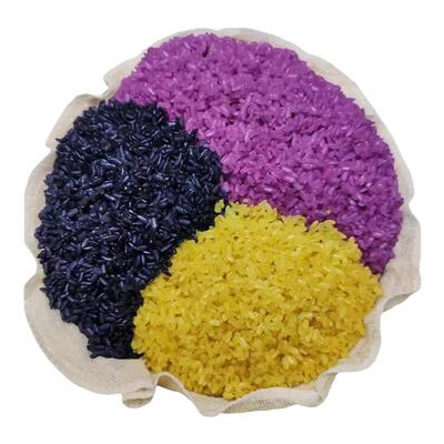 红蓝草紫蓝草广西五色糯米饭植物染料天然紫色植物红蓝叶包粽子