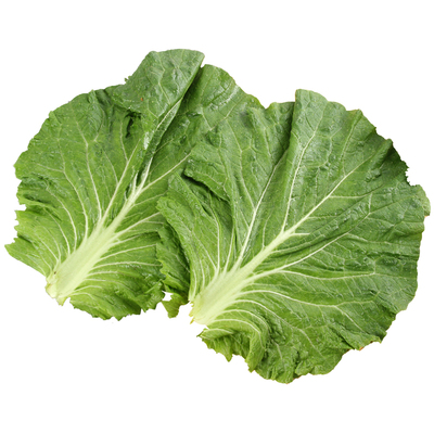 东北饭包菜叶白菜叶新鲜蔬菜