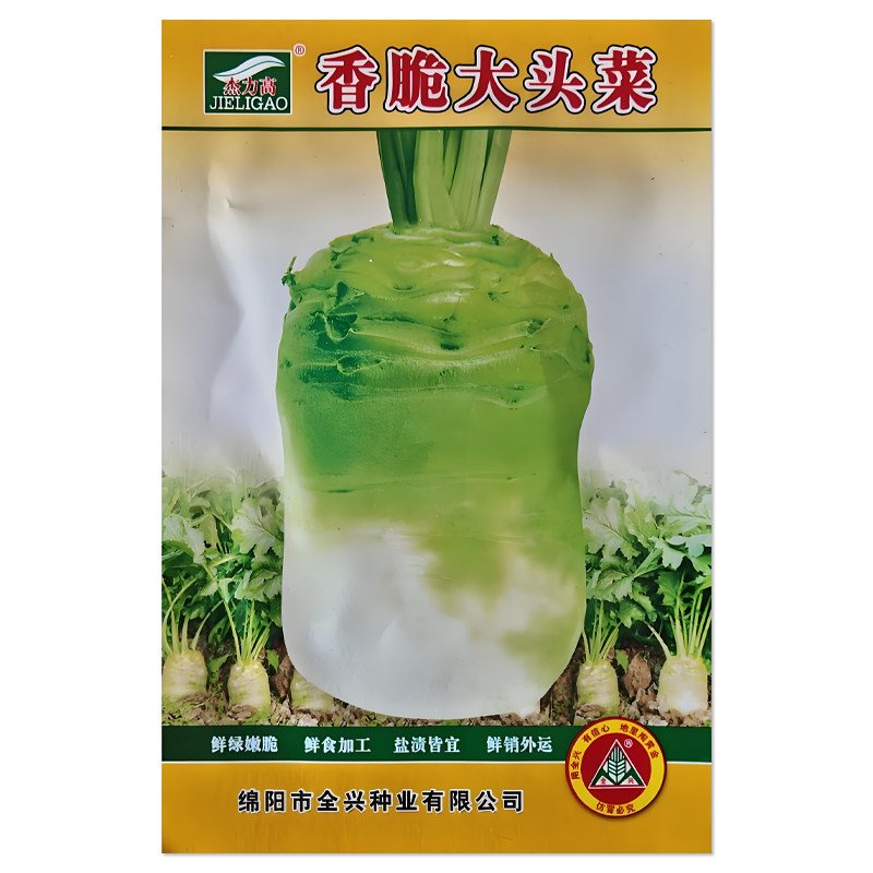杰力高香脆大头菜种子