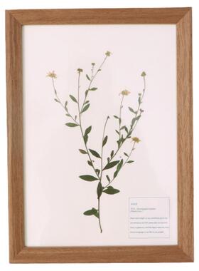 艺术手作天然花卉植物标本装饰画