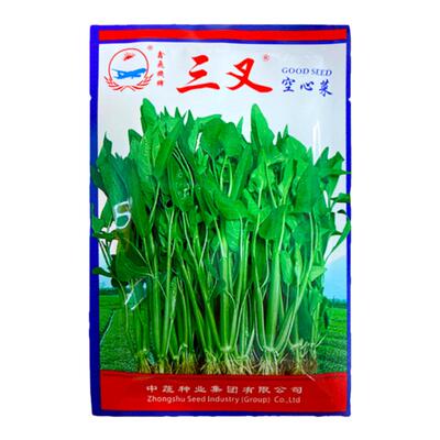 正宗高产三叉空心菜种籽通心菜