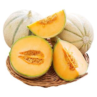 金心甜瓜种子抗病高产皮薄多汁香甜传家宝春秋室内阳台盆栽水果