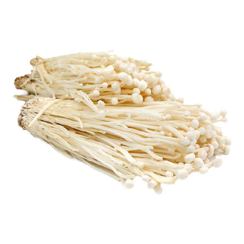 新鲜金针菇沁蕊新鲜食用菌