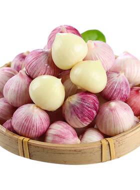 2026干独头蒜新晒新干蒜头紫皮蒜