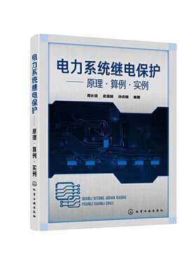 电力系统继电保护 原理算例实例 继电保护整定计算工作流程方法教程书 高压馈线变压器电动机低压回路计算实例