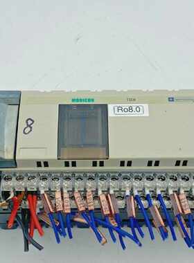 1pc X.Schneider tbxdss1622 TBX Dss 1622 Modicon Plc Ausgang