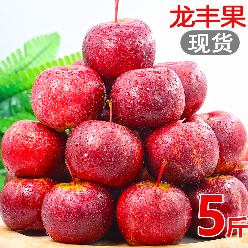 正宗东北龙丰果5斤海棠果特产沙果大秋果小苹果水果新鲜整箱当季