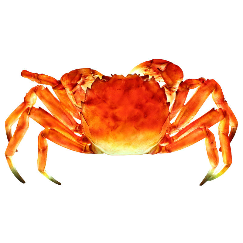 发光螃蟹摆件玻璃钢仿真大闸蟹模型招牌小龙虾门头装饰帝王蟹雕塑