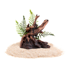 适配小米智能鱼缸二代造景摆件生态全套懒人仿真水草装饰改装升级