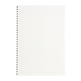 晨光活页本替芯A5错题20孔B5可拆卸26孔笔记本A4小方格固定夹纸内页扣环外壳格子空白替换线圈本芯可拆