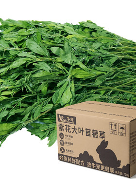 26年烘干苜蓿草大叶牛宠高复购草