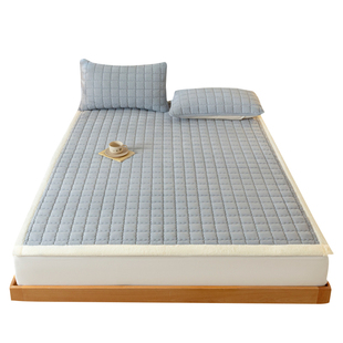 床垫冬季加厚保暖垫子软垫家用卧室珊瑚牛奶绒床褥垫褥子铺底垫背