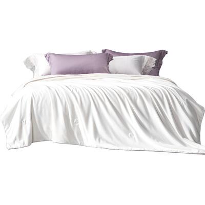 百丽丝100%蚕丝被子母被