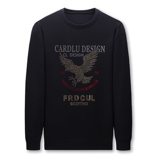 正品意大利长袖t恤男士桑蚕丝春秋新款高端潮流印花休闲老鹰卫衣