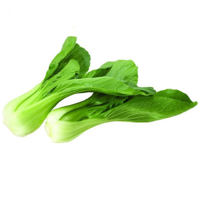上海青生态种植油菜叶菜新鲜顺丰