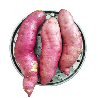 海南五里香地瓜三角宁白心番薯