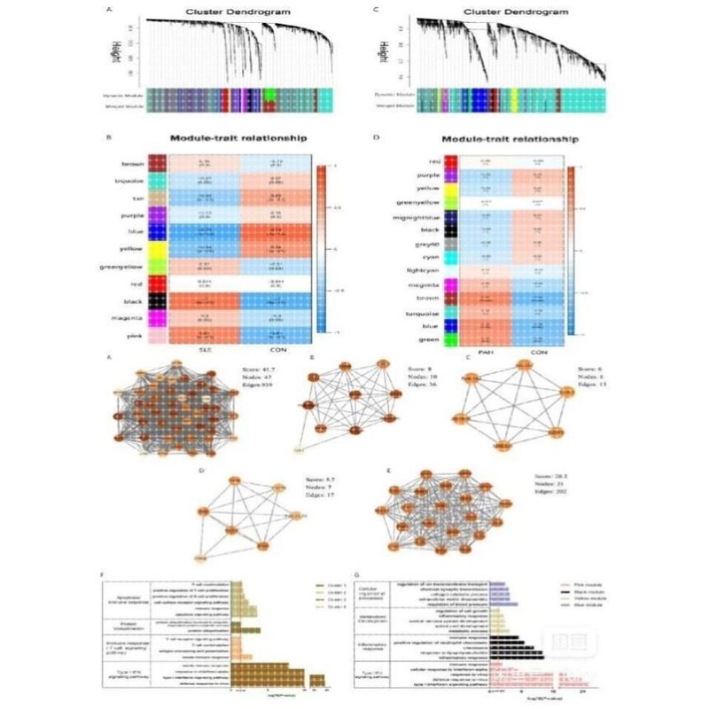 WGCNA GSEA生信分析,GEO TCGA数据挖掘