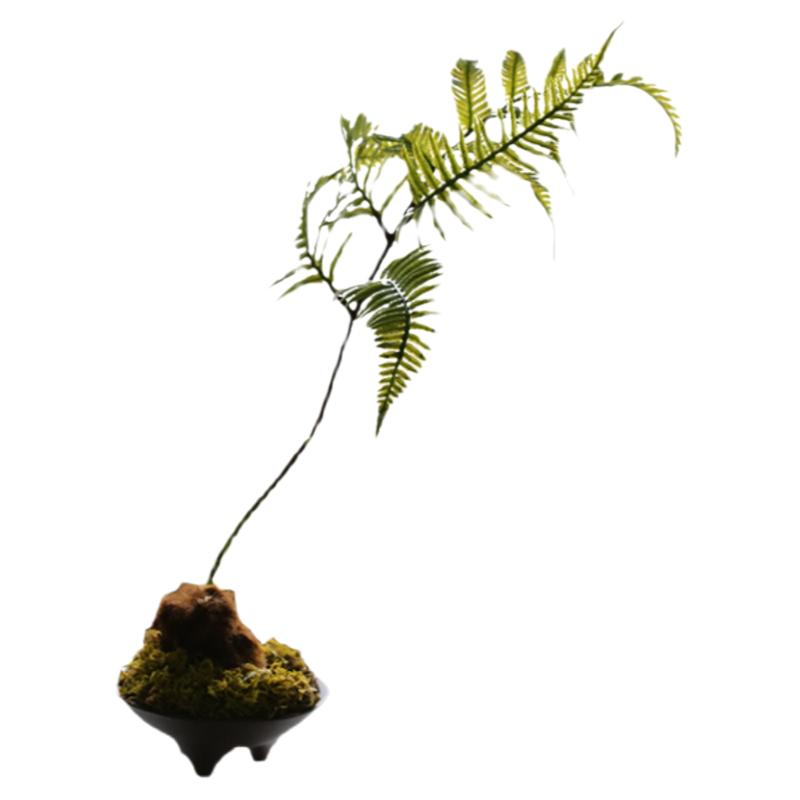 新中式侘寂风金丝猴蕨仿真绿植盆景摆件植物盆栽玄关禅意软装饰品