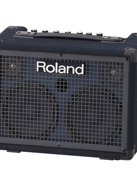 roland罗兰立体声键盘监听音箱