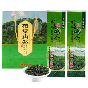 博罗柏塘山茶夏茶广东十大名茶惠州特级炒青绿茶特产罗浮山茶叶